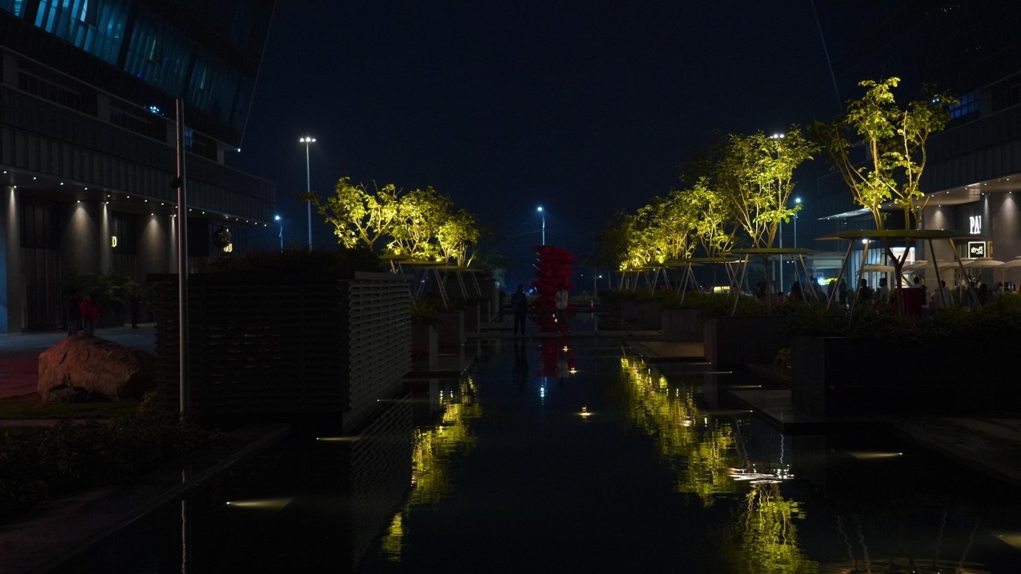 Lit trees beside a still water channel in a business park at night