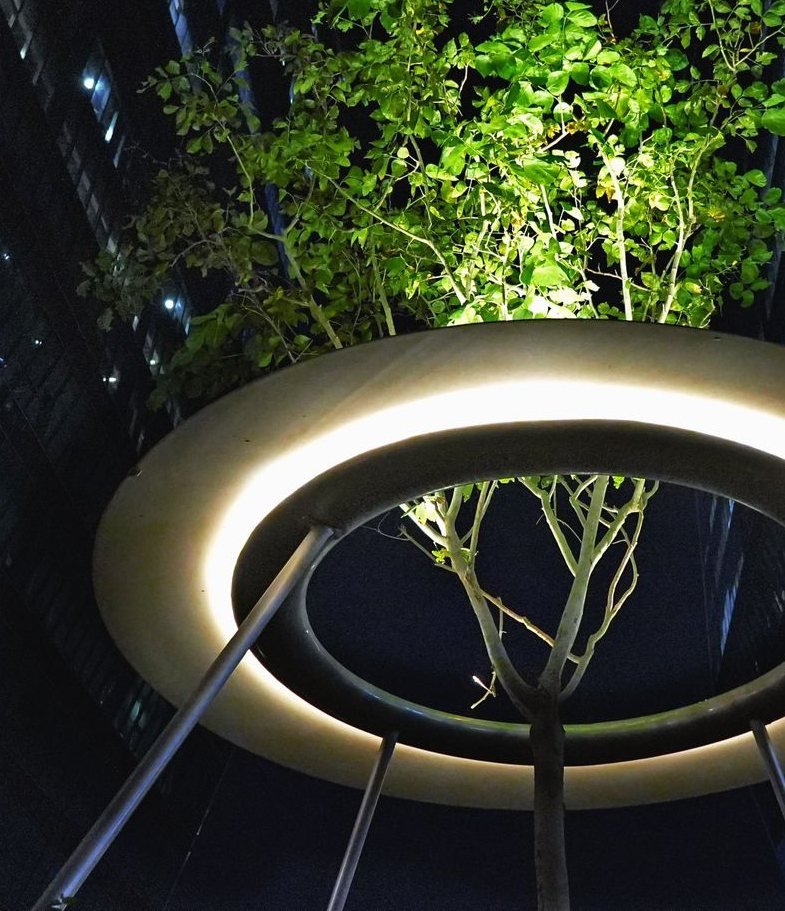 Nexity, Hyderabad: tree-mounted luminaires